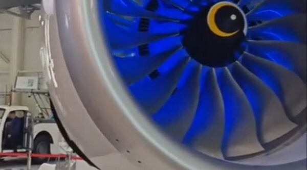 Все этапы жизненного цикла охвачены мерами поддержки